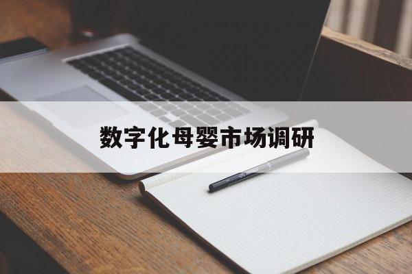 延吉市数字化母婴市场调研(数字化母婴市场调研报告)